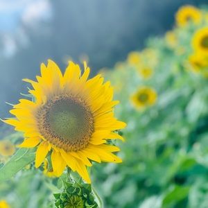 Meet your Posher, Janany